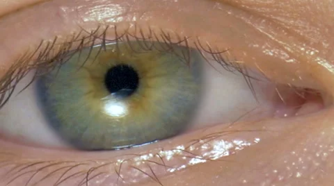 Macro image of human eye Stock Footage 54711616