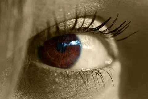 Macro image of human eye Stock Photos