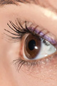 Macro image of human eye Stock Photos