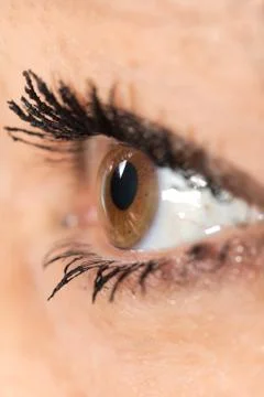 Macro image of human eye Stock Photos