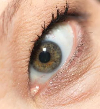 Macro image of human eye Stock Photos