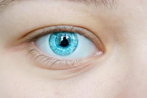 Macro image of human eye Stock Photos