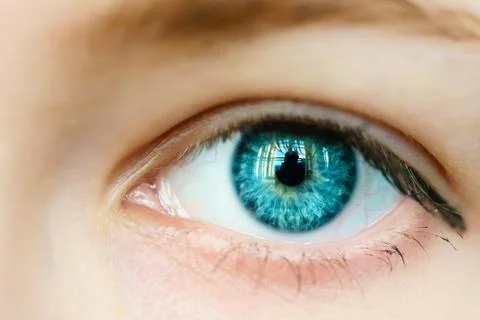 Macro image of human eye Stock Photos