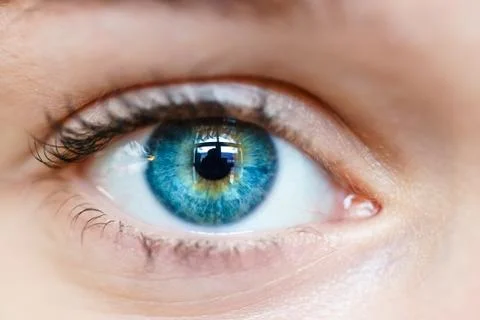Macro image of human eye Stock Photos