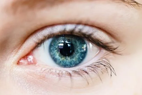 Macro image of human eye Stock Photos
