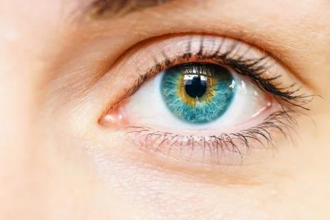 Macro image of human eye Stock Photos