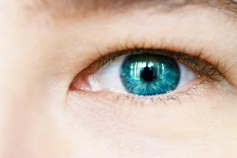 Macro image of human eye Stock Photos