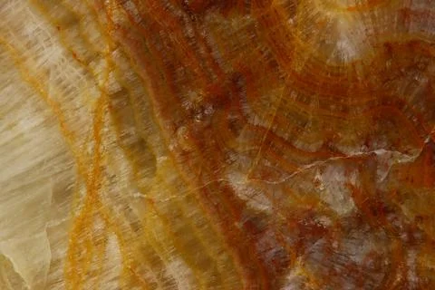 The macro image of the polished natural marble stone Onyx. Stock Photos