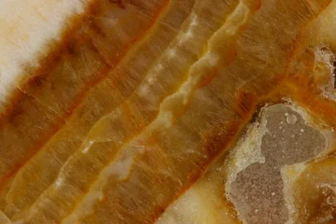 The macro image of the polished natural marble stone Onyx. Stock Photos