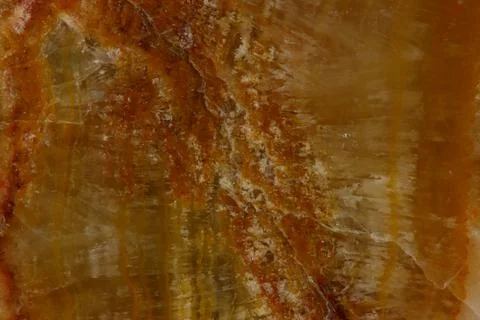 The macro image of the polished natural marble stone Onyx. Stock Photos