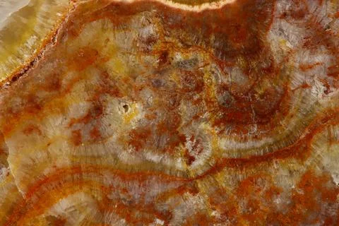 The macro image of the polished natural marble stone Onyx. Stock Photos