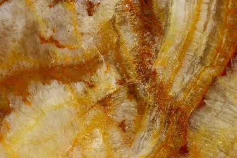 The macro image of the polished natural marble stone Onyx. Stock Photos
