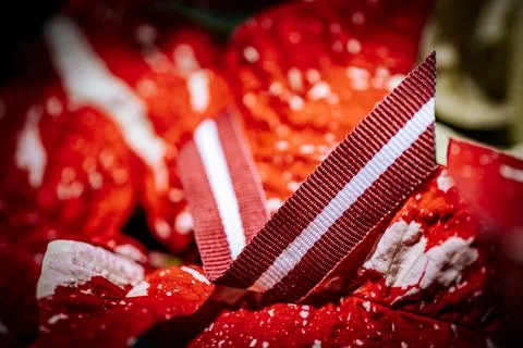 A macro image of a red and white striped ribbon draped over the red, speckled. Stock Photos