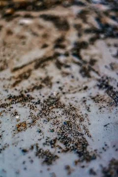 Macro image of a rough plaster surface with dirt, small debris, and scattered Stock Photos