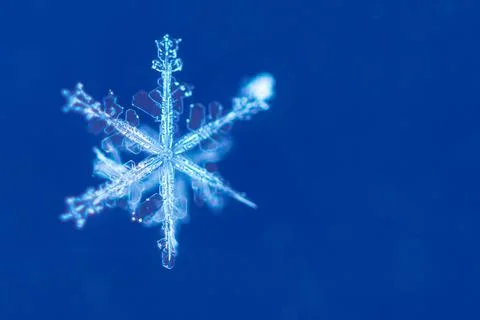 Macro image of a single snowflake Stock Photos