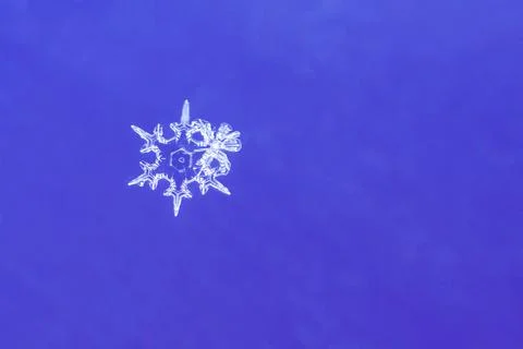 Macro image of a single snowflake Stock Photos