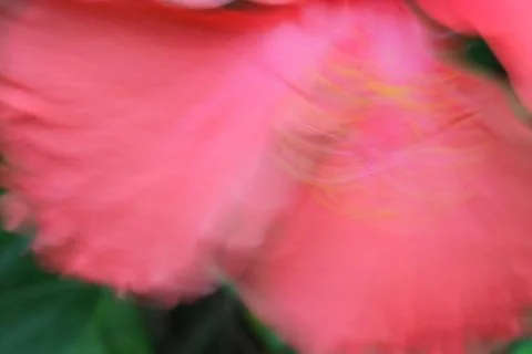 Macro image with small depth of field. Stock Photos