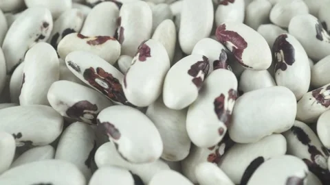 Macro Image Of White Speckled Bean Texture. Stock Footage 319762115