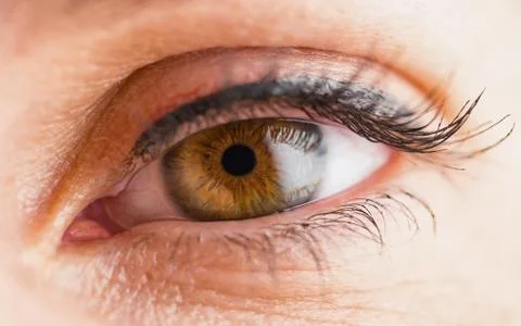 Macro image of woman eye Фото