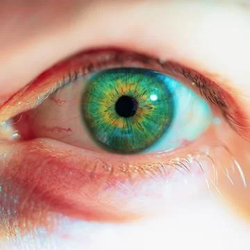 Macro iris shots up close Close up of a man's eye Eyeball with pupil and ve.. Stock Photos