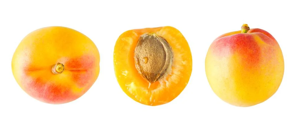 Macro isolated apricots on white background in different positions. Stock Photos