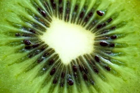 Macro kiwi fruit close up Stock Photos