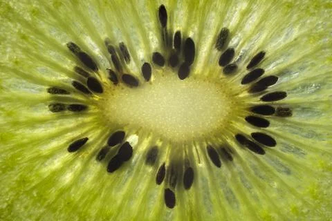 Macro kiwi slice. Transparent closeup texture of kiwi. Stock Photos
