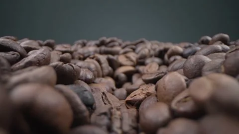 Macro Laowa Stock Footage 155043140