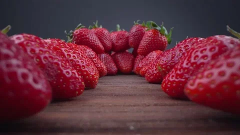 Macro Laowa Stock Footage 155043326