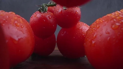 Macro Laowa Stock Footage 155043355