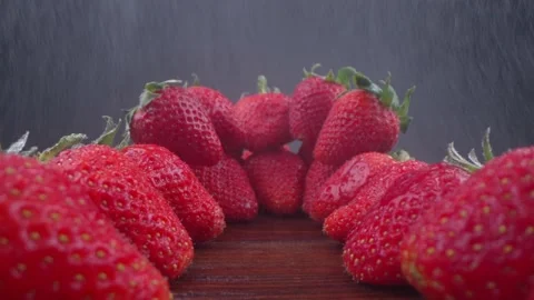Macro Laowa Stock Footage 155043510