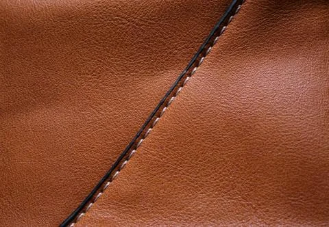 Macro Leather background Фото