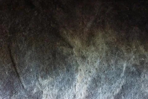 Macro Leather Fish Foto stock