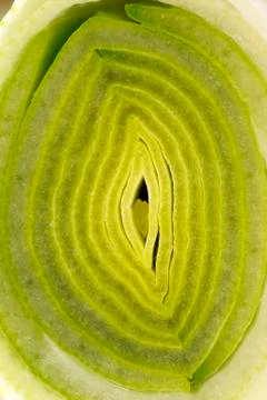Macro Of The Leek Foto stock