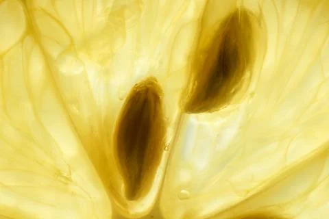 Macro of a lemon slice Stock Photos