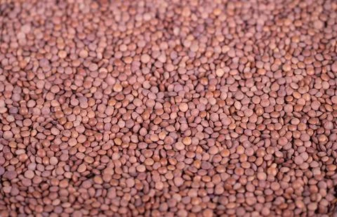 Macro lentil cereal pattern, earthy study capturing uniform small legumes in  Stock Photos
