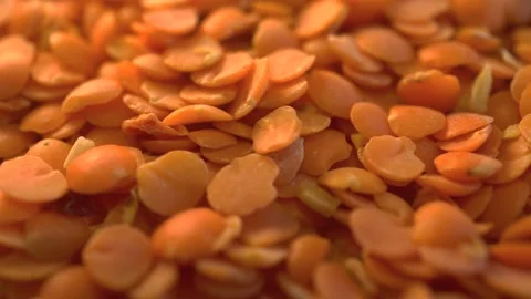 Macro Lentil Grains Background Slider Shot Stock Footage 170378304