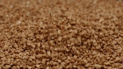 MACRO: Light explosion of buckwheats - Slow motion Stock Footage 91172951