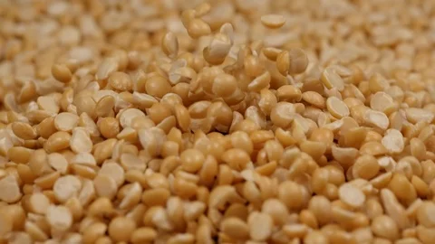 MACRO: Light explosion of yellow peas - Slow motion Video stock 91172947