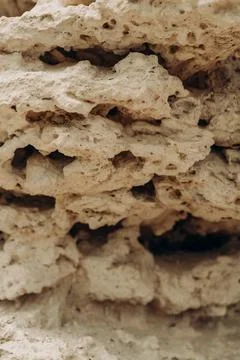 Macro limestone rock texture with natural holes porous surface warm beige m.. Фото