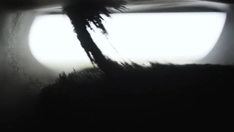 Macro Magnetic Field Pulling Iron Dust Particles Upward Stock Footage 318281056