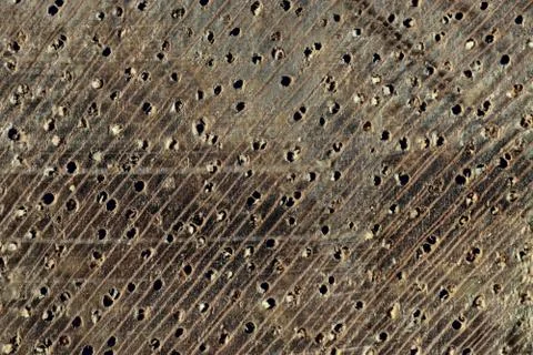 Macro makore texture Stock Photos