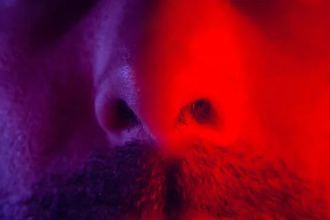 Macro on man nose with expressionless Stock Photos