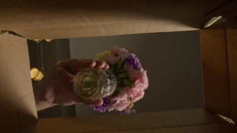 Macro Mans hand Pulling flowers out of box from underneath Stock Footage 307577157