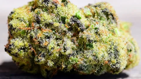 Macro Marijuana Closeup Stock Footage 49962186