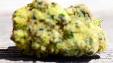 Macro Marijuana Closeup Rack Focus Stock Footage 49962177