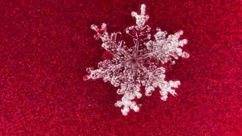 Macro of melting snowflake Stock Footage 230029538