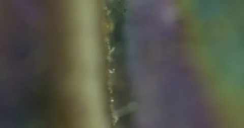 Macro metal moving 1 스톡 동영상 188675220