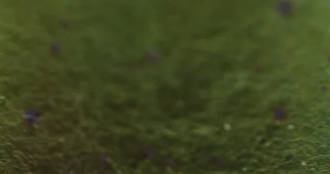 Macro metal moving 1 스톡 동영상 188675581