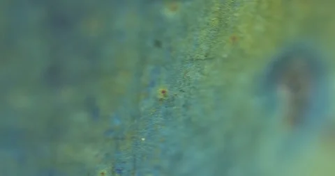 Macro metal moving 1 스톡 동영상 188678203